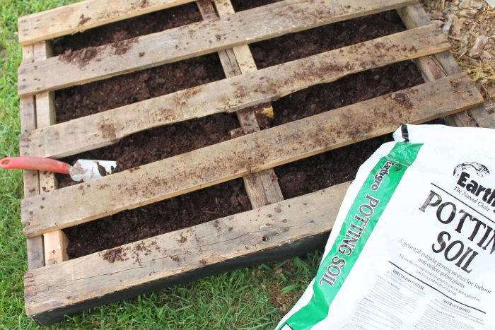 Fill the enclosed pallet with potting soil. (Photo courtesy of Angie Holden/The Country Chic Cottage)